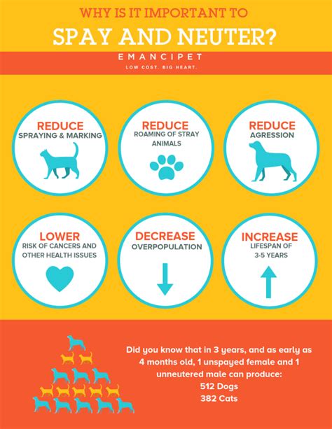 Even if you can give away your pet's offspring to loving friends and. Why It's Important to Spay/Neuter Your Pet - Emancipet