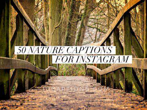 47 Nature Best Quotes For Instagram Post