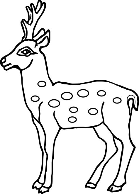 Deer Outline Drawing at GetDrawings | Free download
