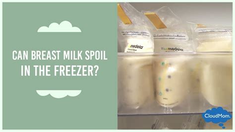 It is also perfectly okay to give your baby breastmilk that came straight from the refrigerator if. Can Breast Milk Spoil in the Freezer? | CloudMom - YouTube