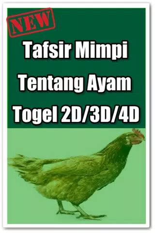 mimpi anak ayam