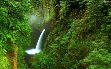 Waterfall Forest Beautiful Views Wallpapers 2048x1280