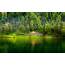 Green Lake Wooden House Pine Forest Meadow Hd Desktop Wallpaper 