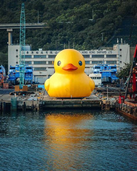 Florentijn Hofmans Inflatable Rubber Duck Will Get An Equivalent Twin