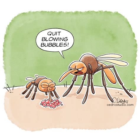 funny jokes about mosquitoes freeloljokes
