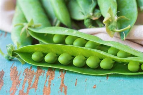 15 Of The Best Pea Varieties For Your Home Garden