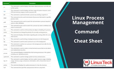 Linux Process Management Command Cheat Sheet Linuxteck