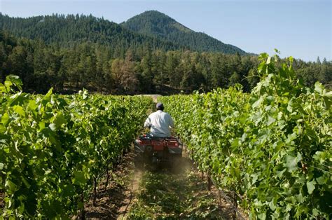 The 18 Wine Regions Of Oregon From Green Valleys To The High Desert