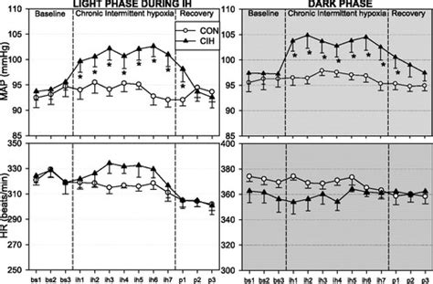 Chronic Intermittent Hypoxia Increases Blood Pressure And Expression Of