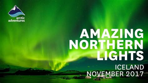 Whale Watching And Northern Lights Tour Arctic Adventures