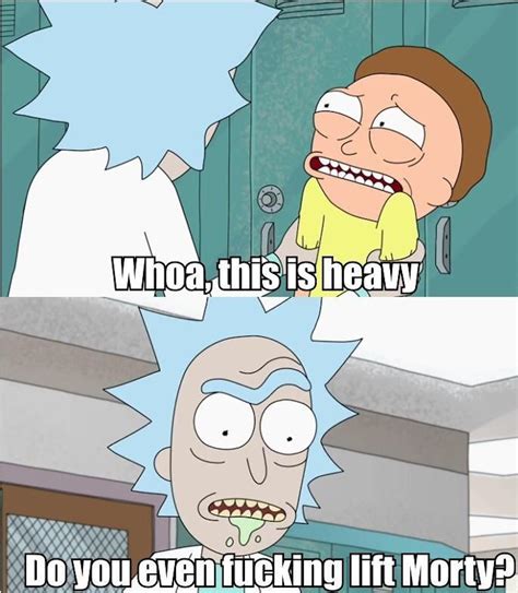 The 36 Best Rick And Morty Memes Inverse