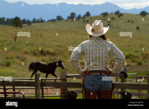 Cowgirl Stockfotos And Cowgirl Bilder Alamy