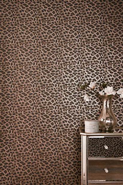 Leopard Animal Wednesday Desktop Computer Wallpapers Living