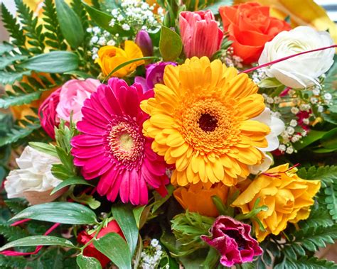 Colorful Gerbera Closeup Jigsaw Puzzle In Puzzle Of The Day Puzzles On