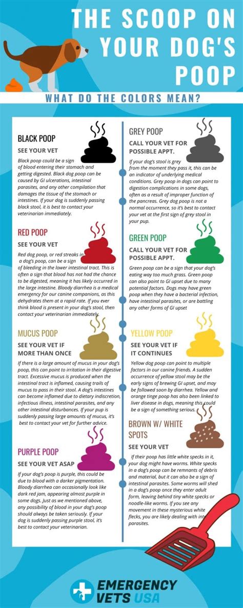 Stool Quality Chart For Dog Poop Dog Poop 101 Find Out How Healthy