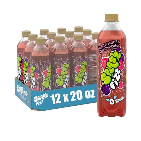 Splash Fizz Raspberry Blackberry Flavor Sparkling Water Beverage 20 Fl