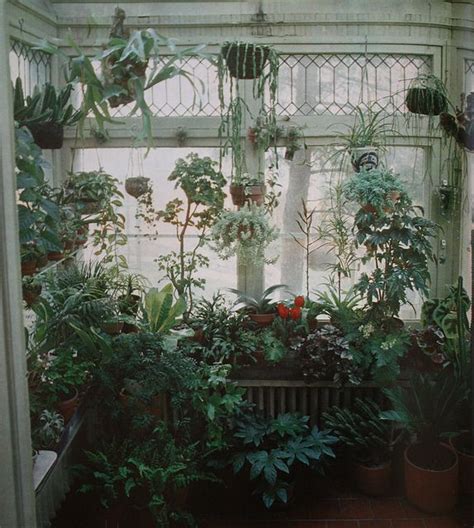 48 Best Jungle Room Images On Pinterest Home Ideas