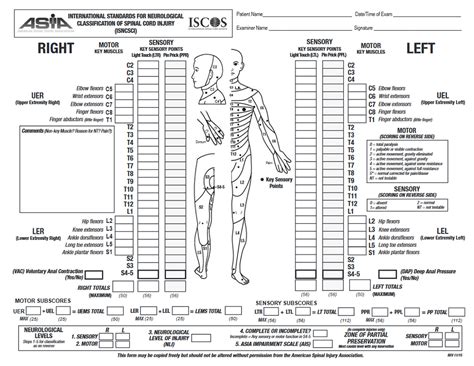 Spinal Cord Injury Diganosis Symptoms Treatment And