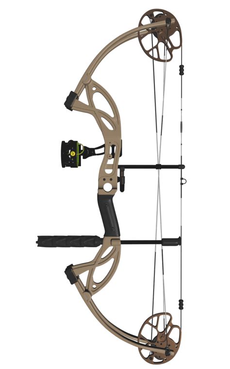 What Are The 3 Most Common Bows For Hunting