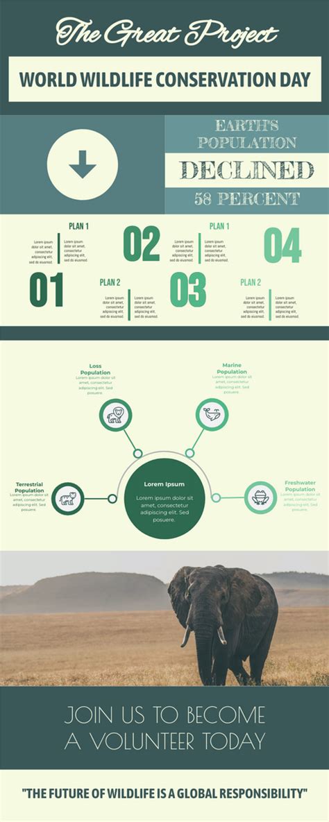 Wildlife Conservation Infographic Infographic Template