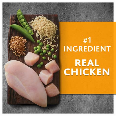 Pure Balance Chicken And Brown Rice Recipe Dry Dog Ubuy Trinidad And Tobago