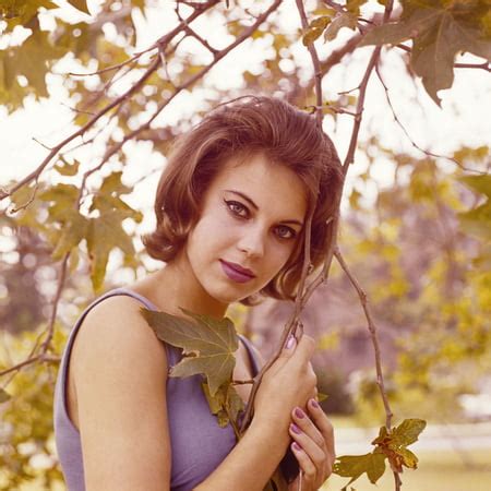 Vintage Pmate Christa Speck Miss Sept 1961 75 Pics 2 XHamster