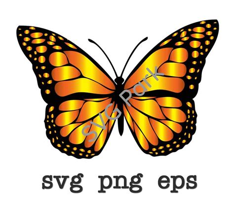 Monarch butterfly svg png eps | Etsy in 2021 | Butterflies svg, Monarch