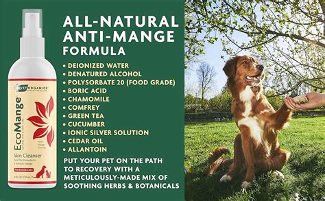 Ecomange Mange Relief For Dogs And Cats 8 Oz Cat And Dog
