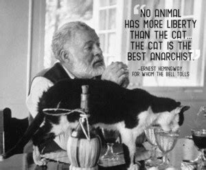 All things truly wicked start from innocence. Ernest Hemingway Cat Quotes. QuotesGram