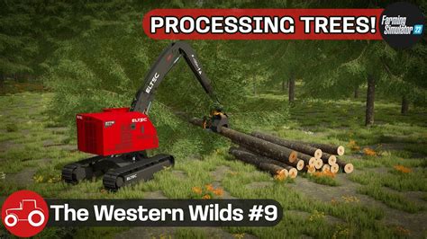Buying A Tree Harvester Processing Trees Buying The Bga The