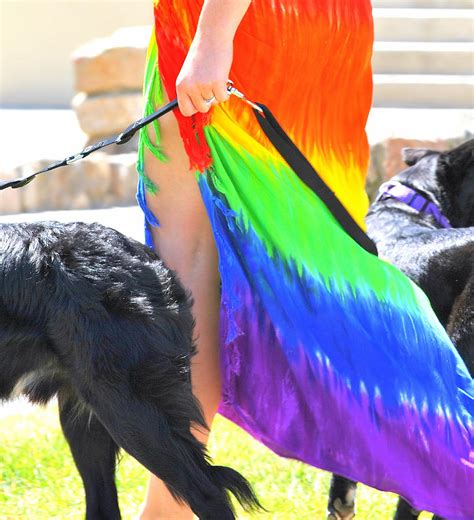 gay lesbian pride day photograph by oscar williams fine art america