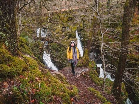 The Ultimate Stock Ghyll Force Waterfall Guide An Easy Walk From