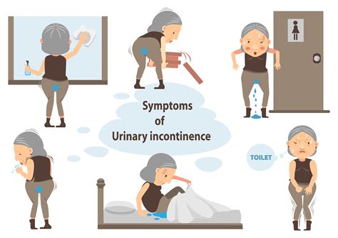 Stress Urinary Incontinence Diagnosis And Treatment Options Overview