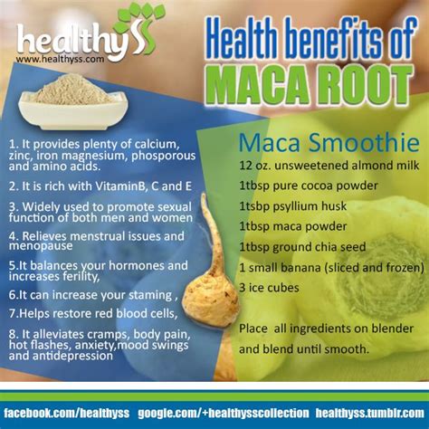 health benefits of maca root healthyss maca benefits maca root health
