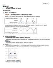 Monohybrid crosses practice answers 10 monohybrid cross problems answer key worksheets learny kids.punnett square work with answers 12 practice with monohybrid punnett squares. Monohybrid Mice Answer Key + My PDF Collection 2021