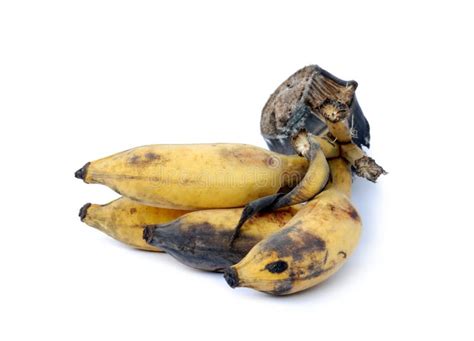 Rotting Banana Stock Image Image Of Aging Nutrition 50624483