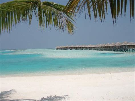 Deluxe Over Water Bungalow Picture Of Anantara Veli Maldives Resort