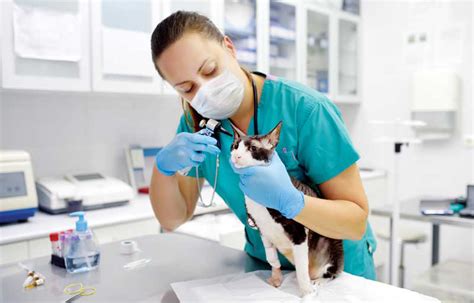 The World Has Changed What Does That Mean For Veterinary Medicine