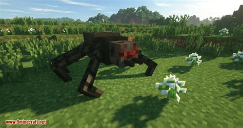 Mutant Spider Minecraft Mods Wiki Fandom