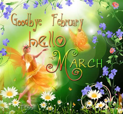 Goodbye February Hello March Images Pictures Photos