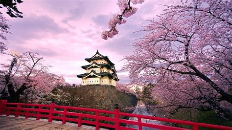 Spring In Japan Wallpapers Top Free Spring In Japan Backgrounds