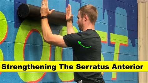 Strengthening The Serratus Anterior Squat University