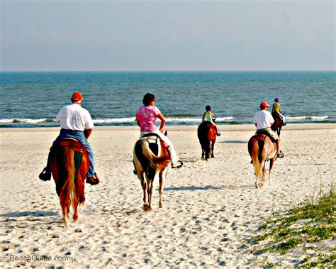 Beach Horseback Riding Florida Beach
