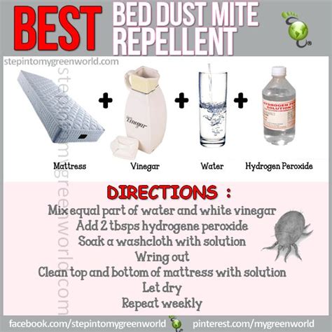 Diy Easy Steps On How To Control Bed Dust Mites Home Prob Solvers