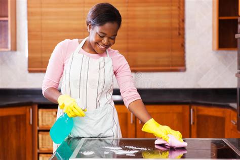 Woman House Chores Stock Image Image Of Gloves Adult 59906451