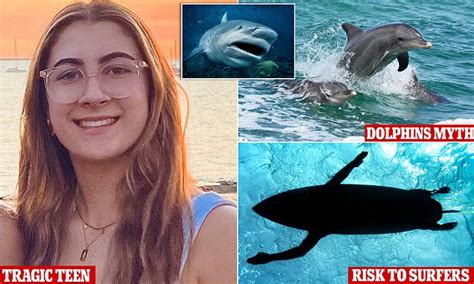 stella berry bull shark attack myths about predator and dolphins after swan river death in