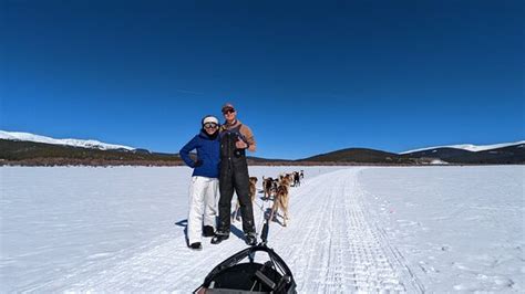 Alpine Adventures Dogsledding Leadville All You Need To Know Before