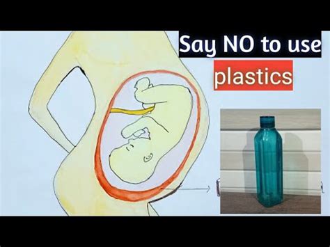 PLASTICs Can Be Found In Pregnant Women UTERUS YouTube