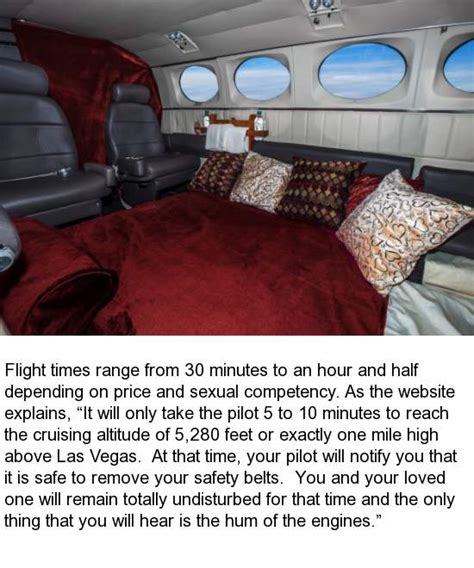 Now You Can Join The Mile High Club 6 Pictures Gorilla Feed