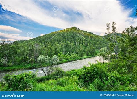 A River Sema Altai Republic Russia Stock Photo Image Of Morning